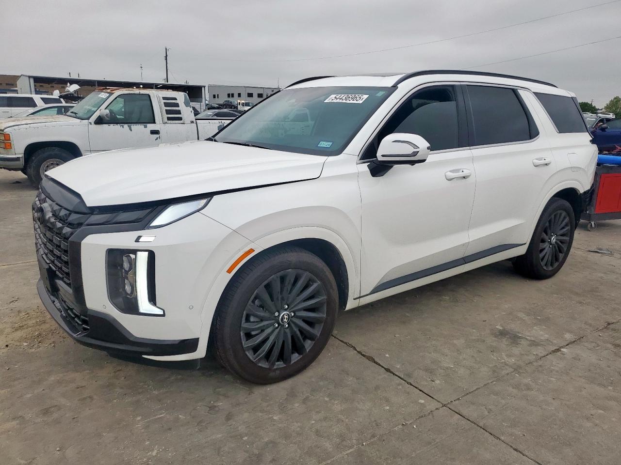 HYUNDAI PALISADE C 2024