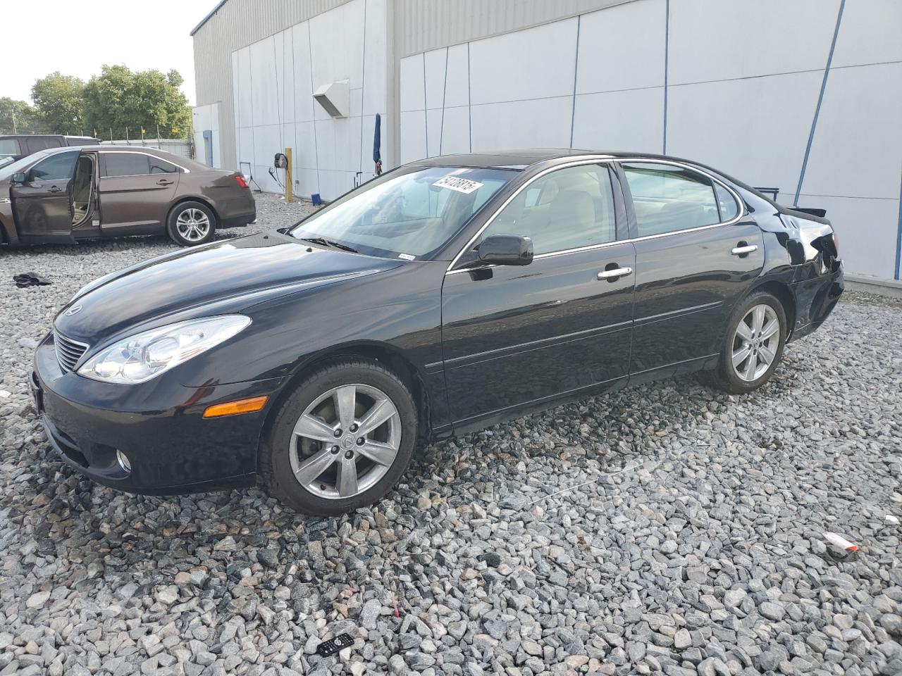 LEXUS ES 330 2005
