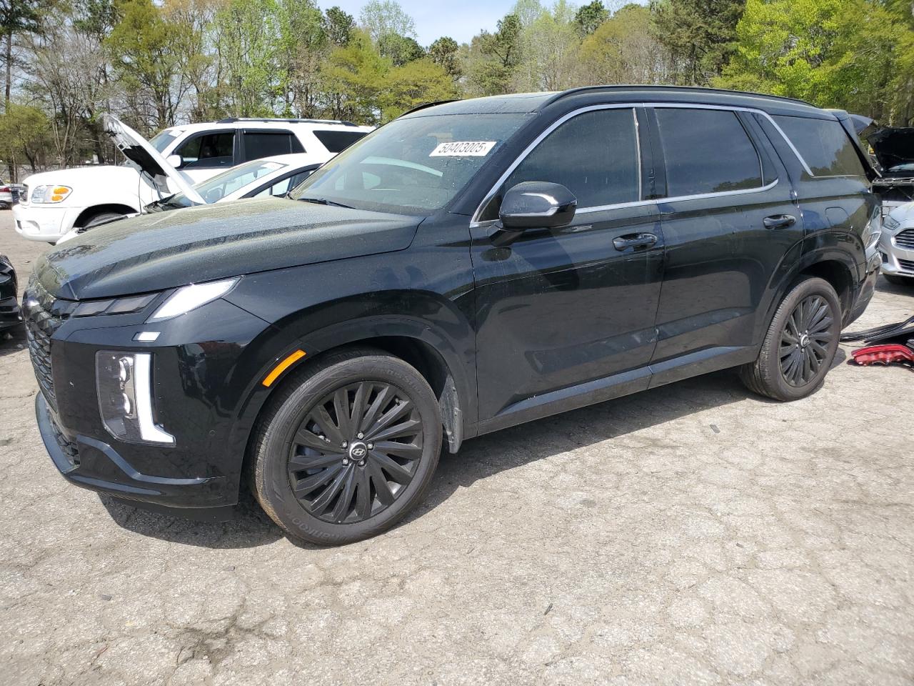 HYUNDAI PALISADE C 2024