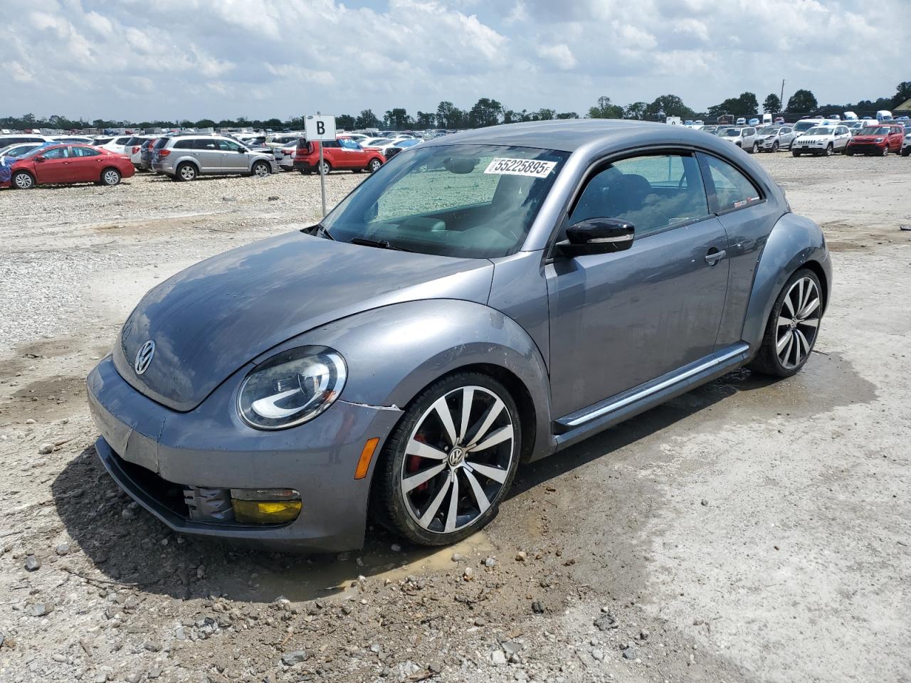 VOLKSWAGEN BEETLE TUR 2012