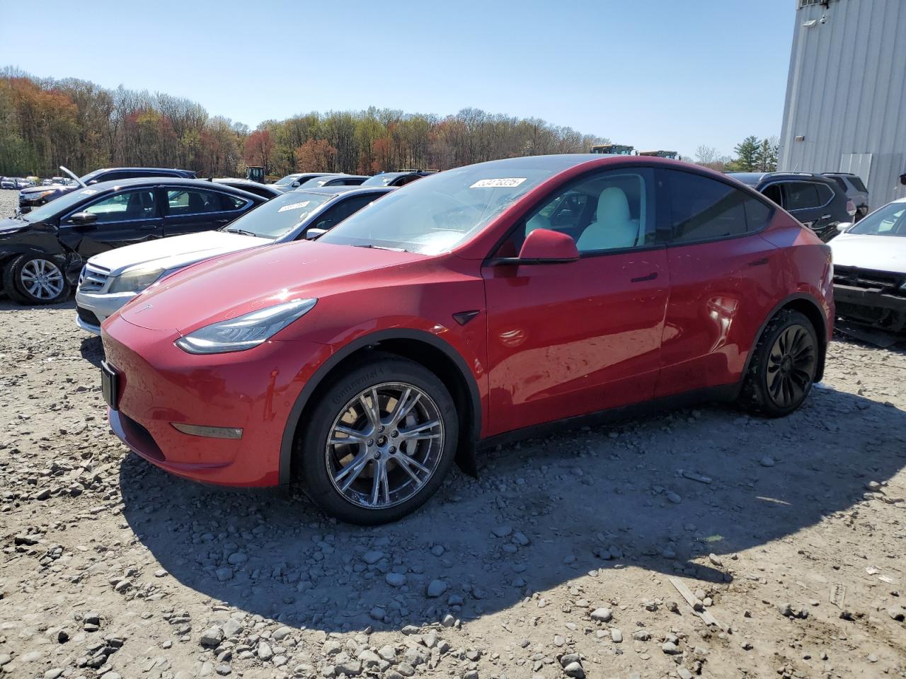 TESLA MODEL Y 2021