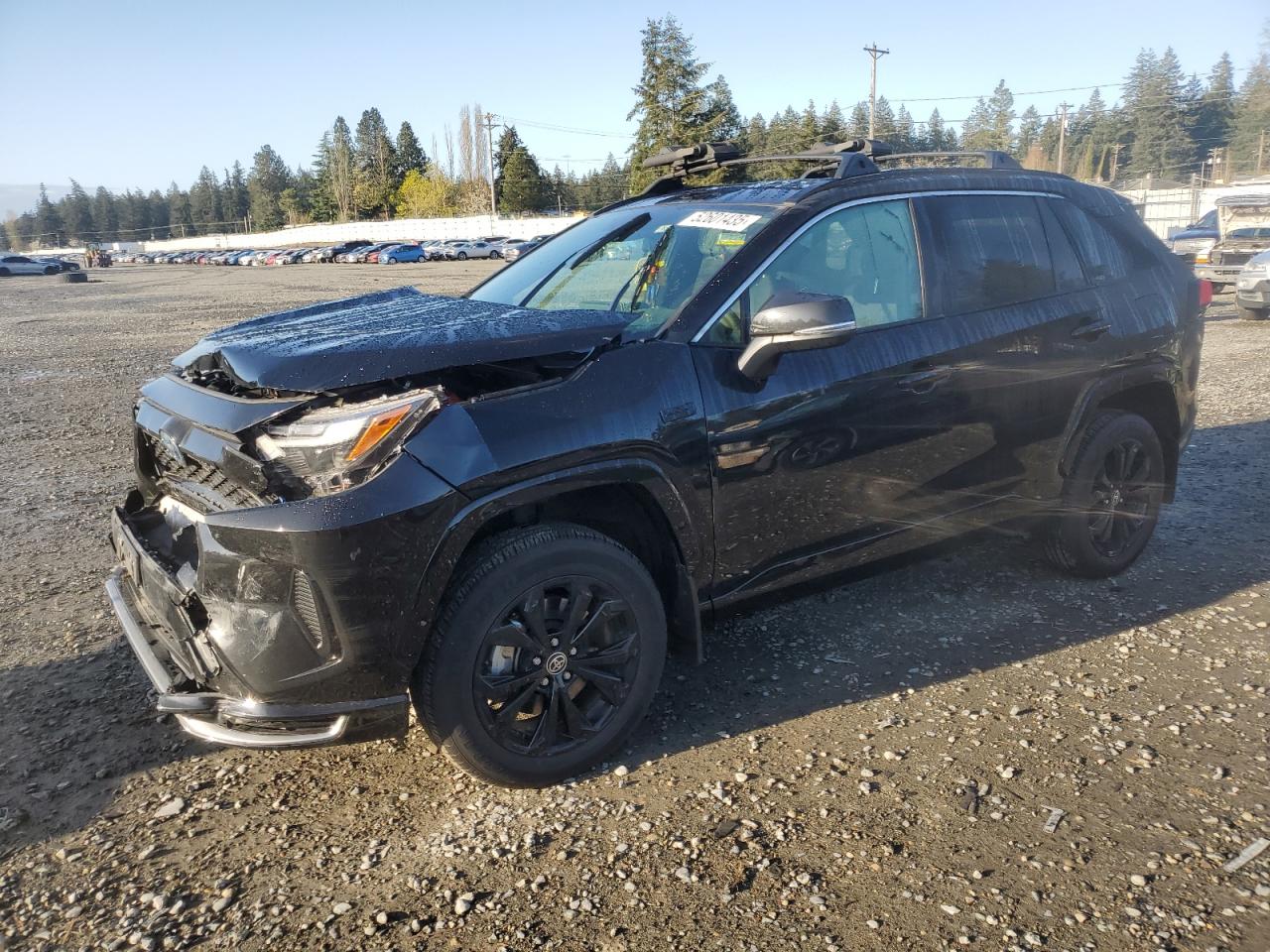 TOYOTA RAV4 PRIME 2024
