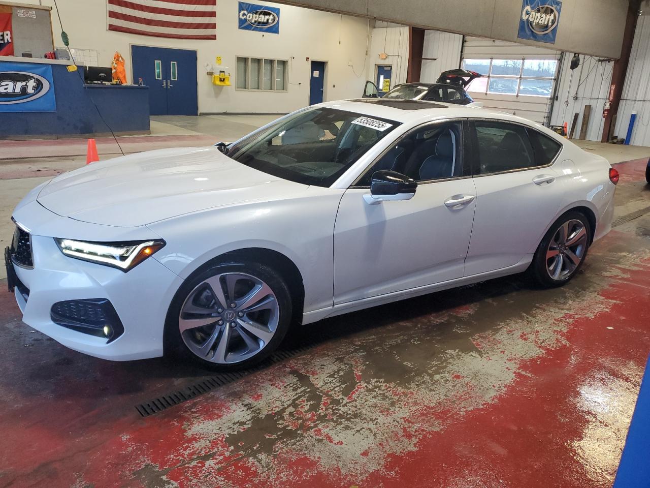 ACURA TLX ADVANCE 2021