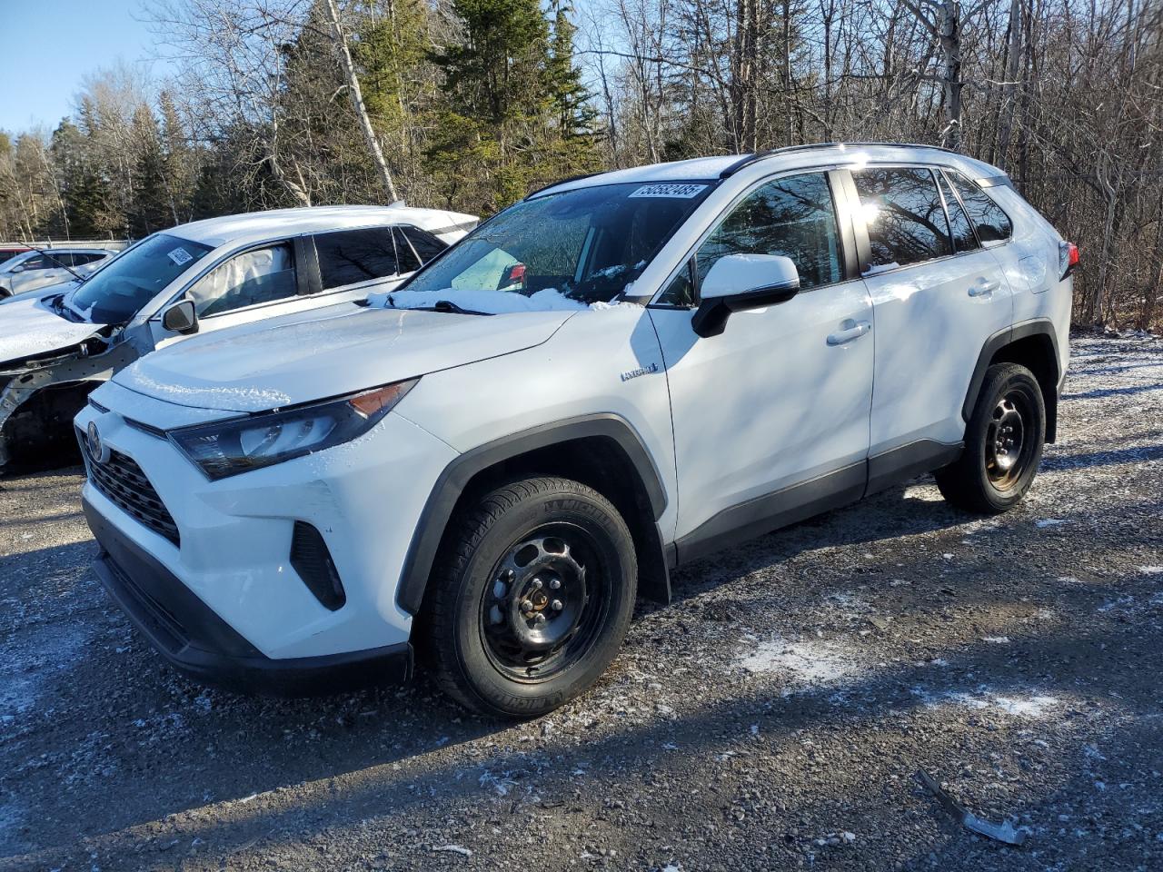 TOYOTA RAV4 LE 2019