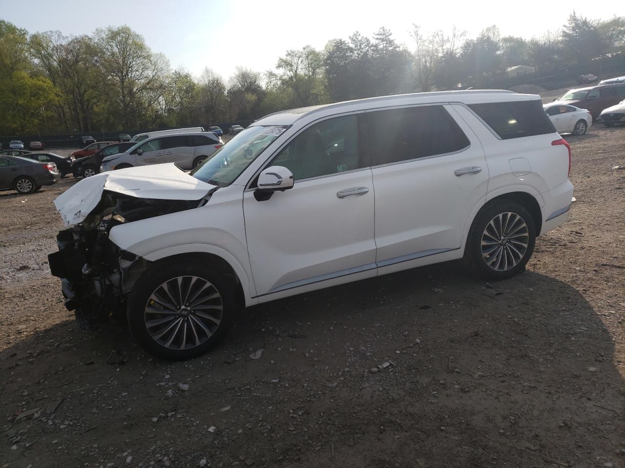 HYUNDAI PALISADE C 2025