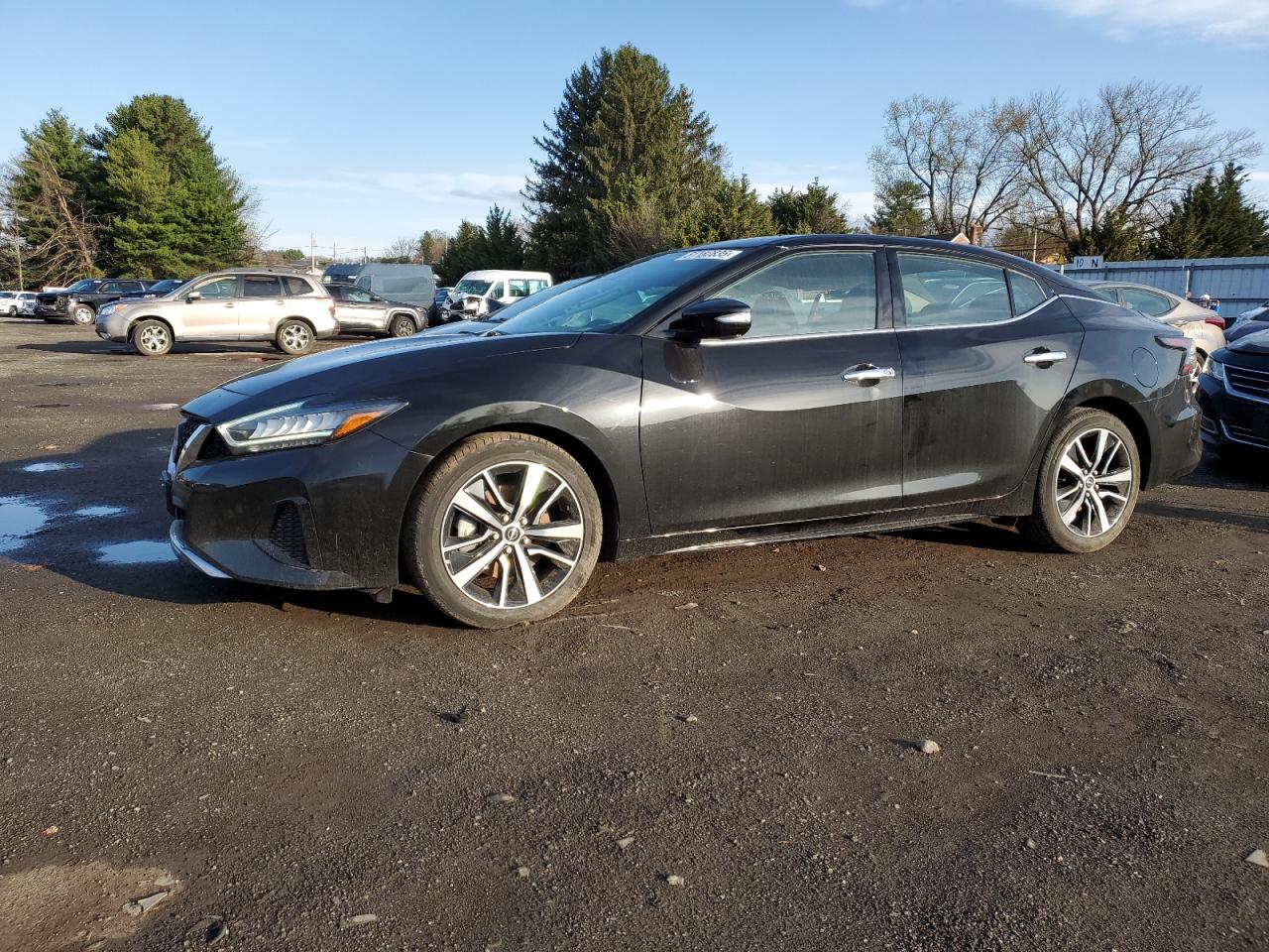 NISSAN MAXIMA 2023