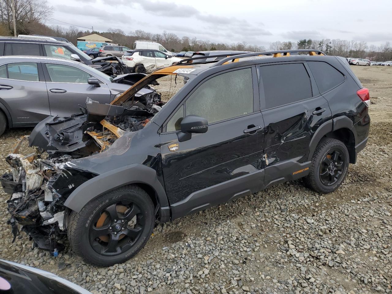 SUBARU FORESTER W 2024