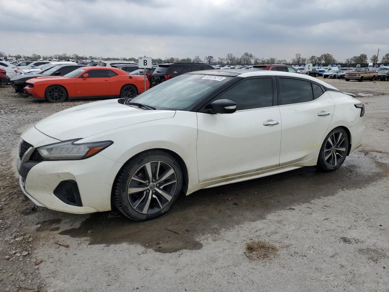NISSAN MAXIMA S 2019