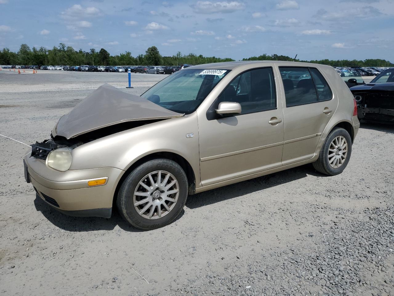 VOLKSWAGEN GOLF GLS 2003