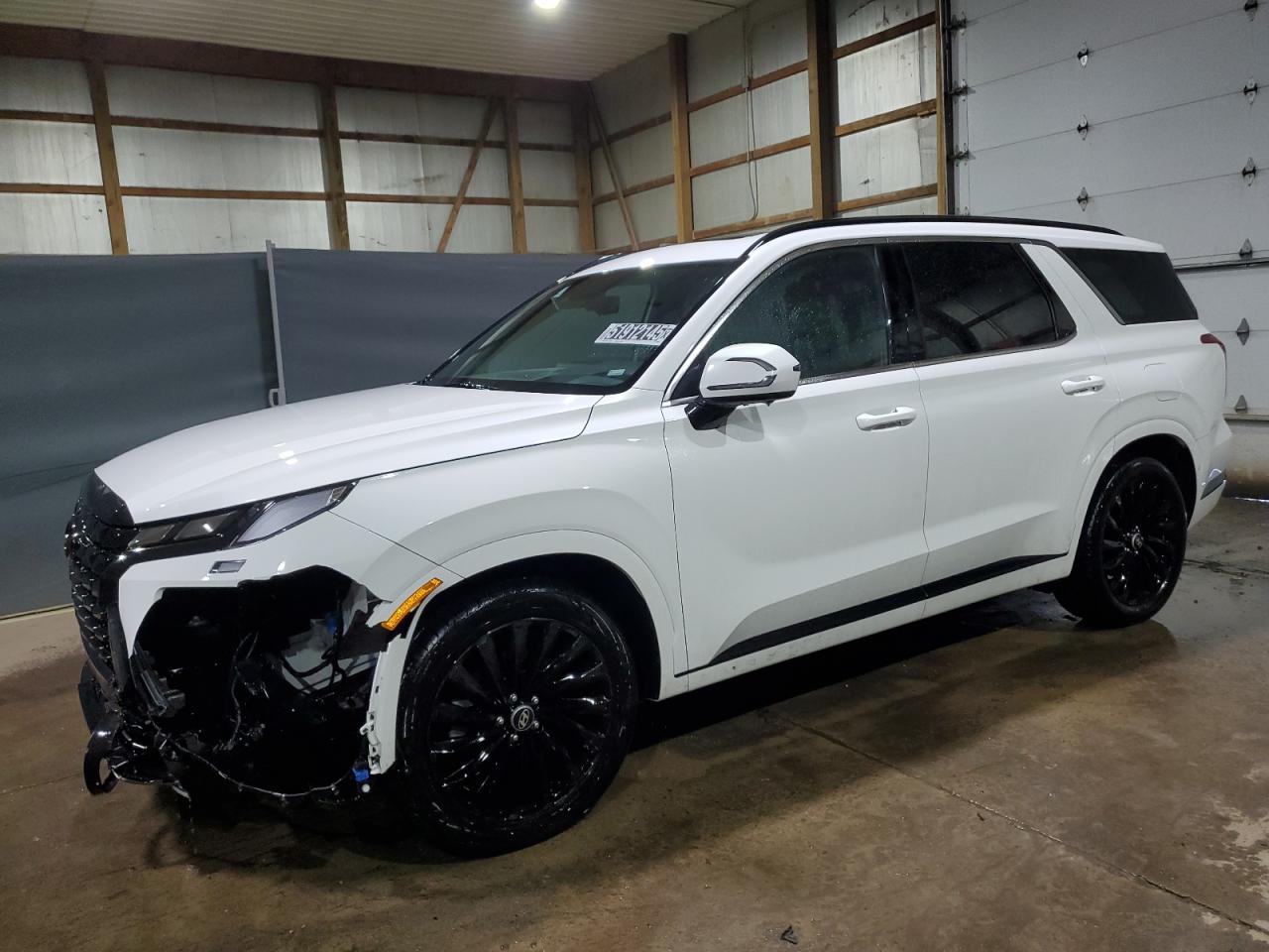 HYUNDAI PALISADE C 2024