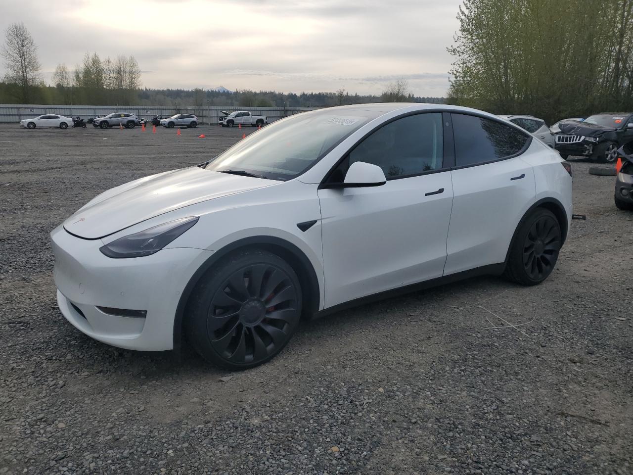 TESLA MODEL Y 2022
