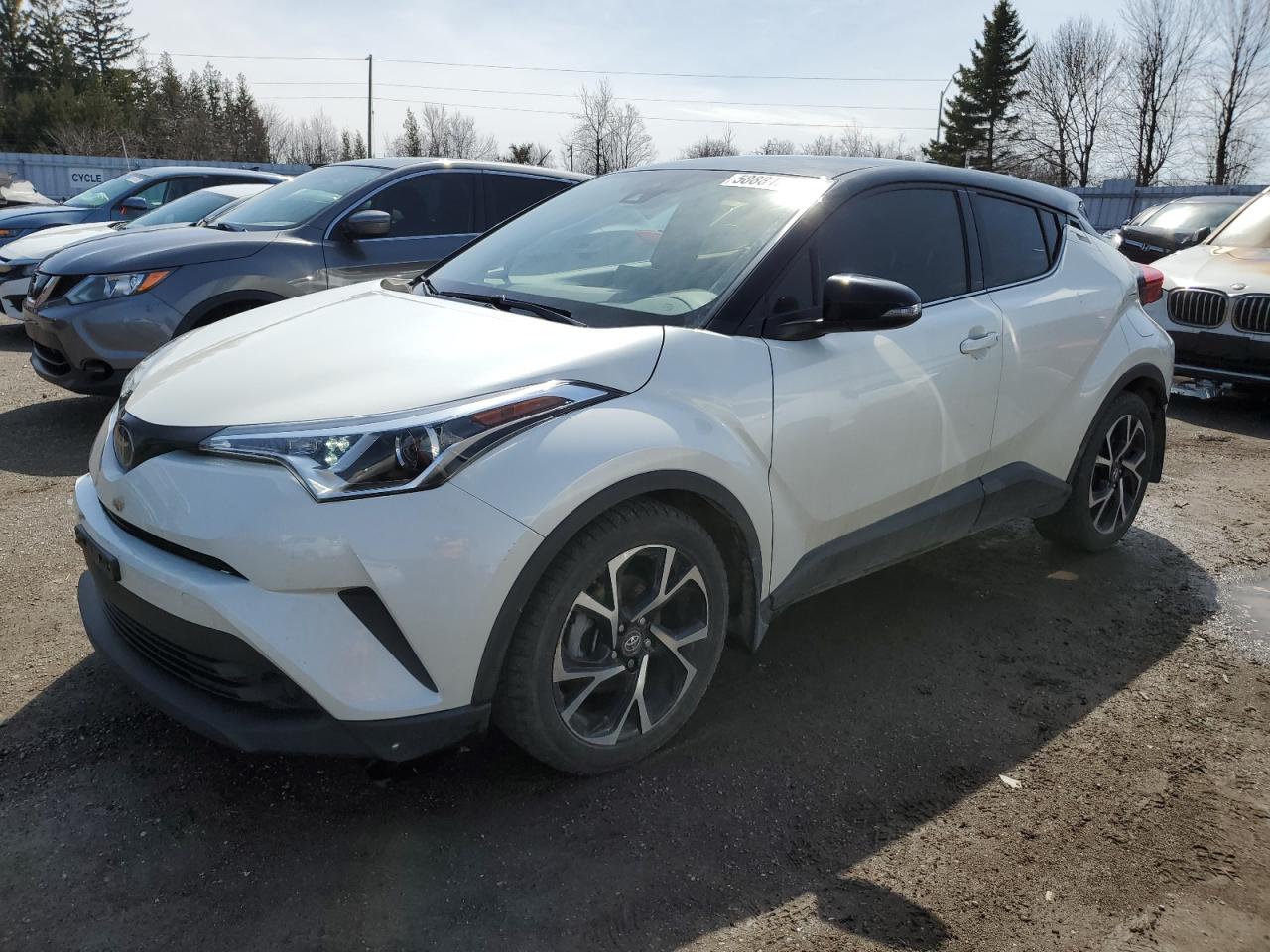 TOYOTA C-HR XLE 2019