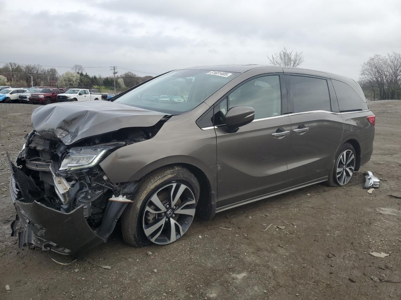 HONDA ODYSSEY EL 2019