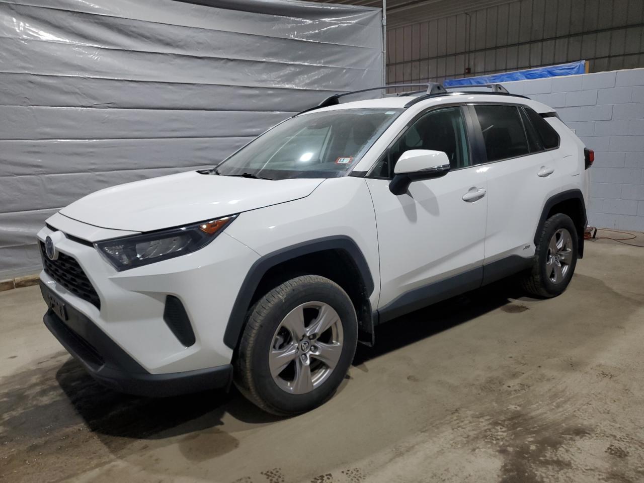 TOYOTA RAV4 LE 2022