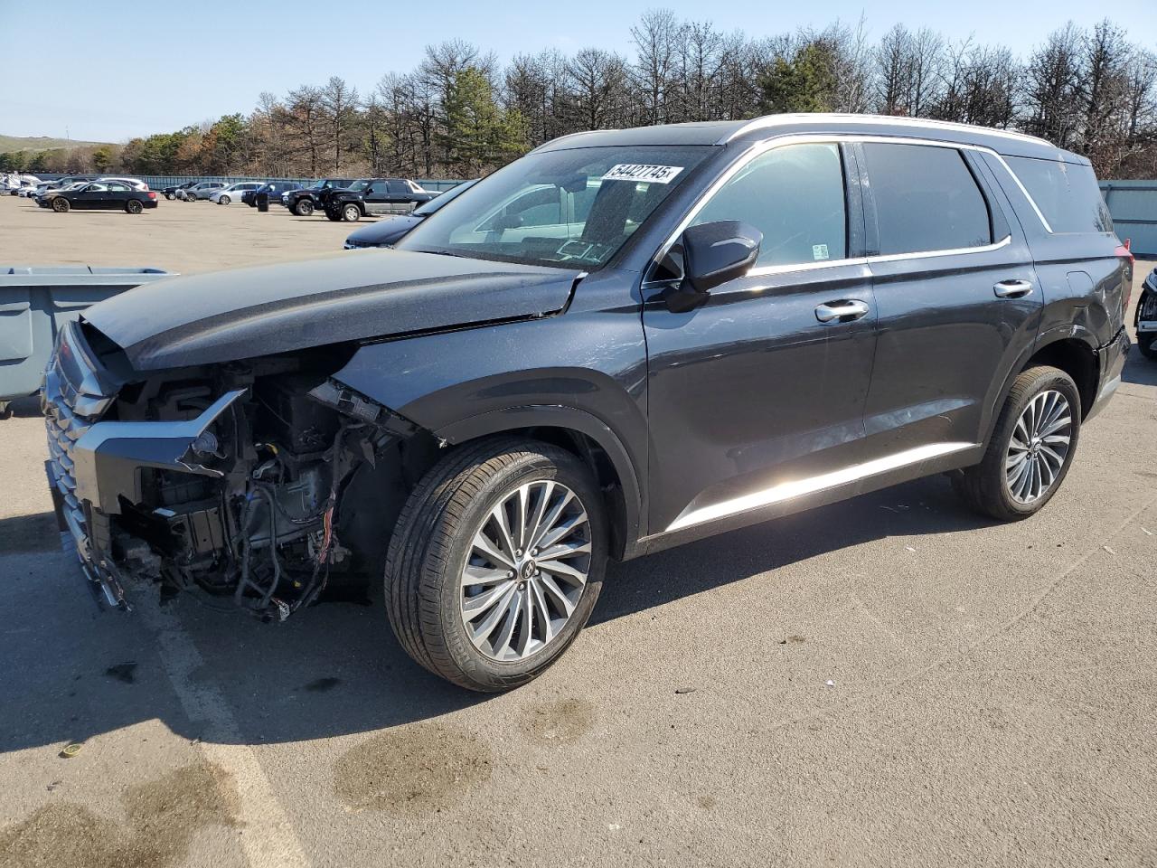 HYUNDAI PALISADE C 2024