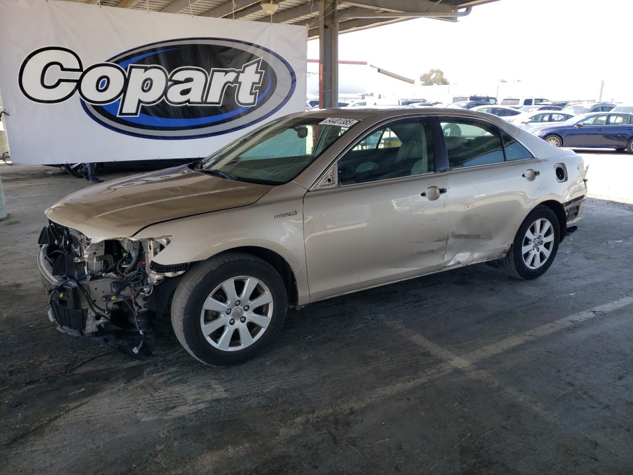 TOYOTA CAMRY HYBR 2009