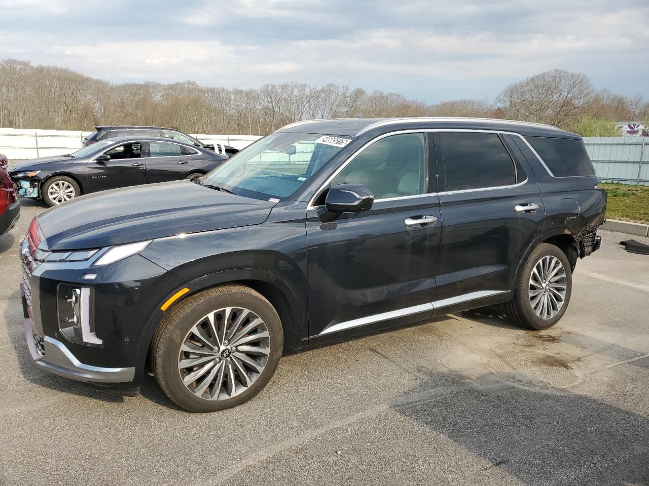 HYUNDAI PALISADE C 2024
