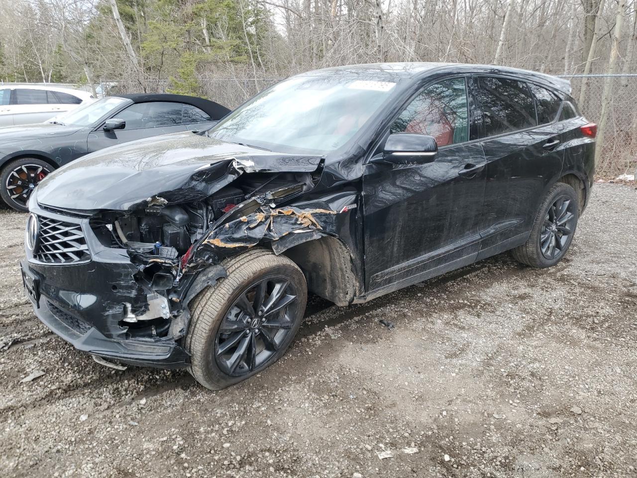 ACURA RDX A-SPEC 2025