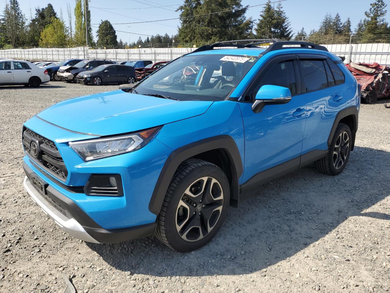TOYOTA RAV4 ADVEN 2019