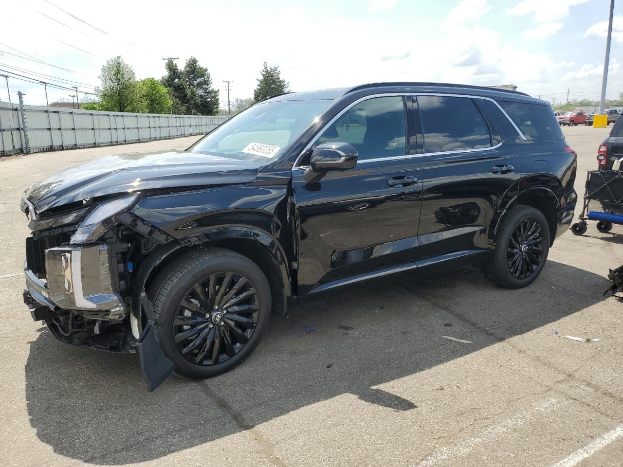 HYUNDAI PALISADE C 2025