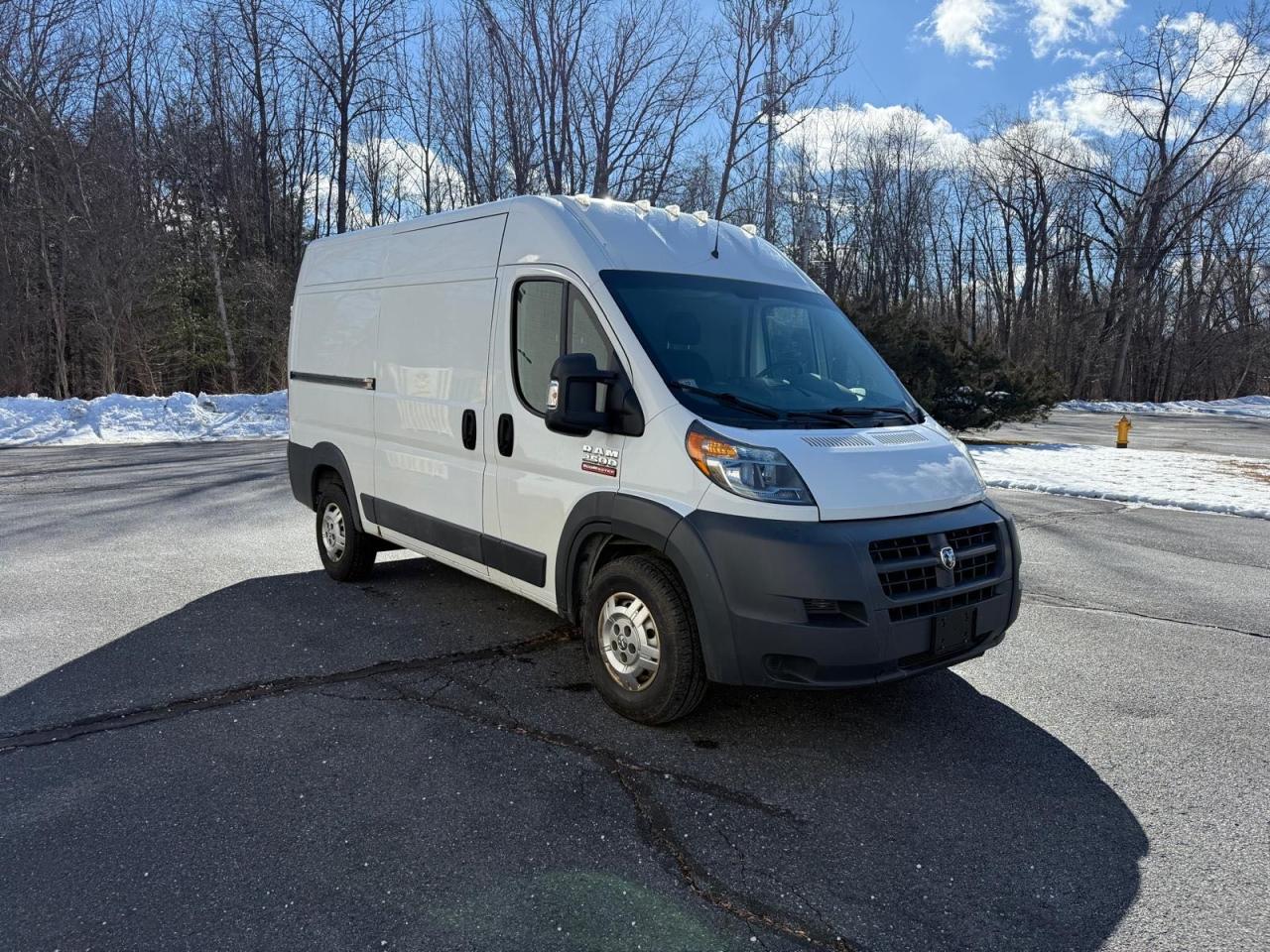 RAM PROMASTER 2014