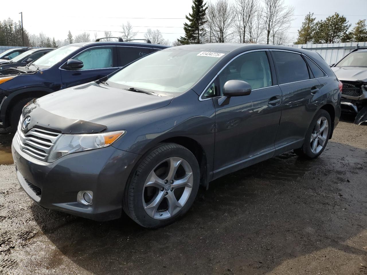 TOYOTA VENZA 2010