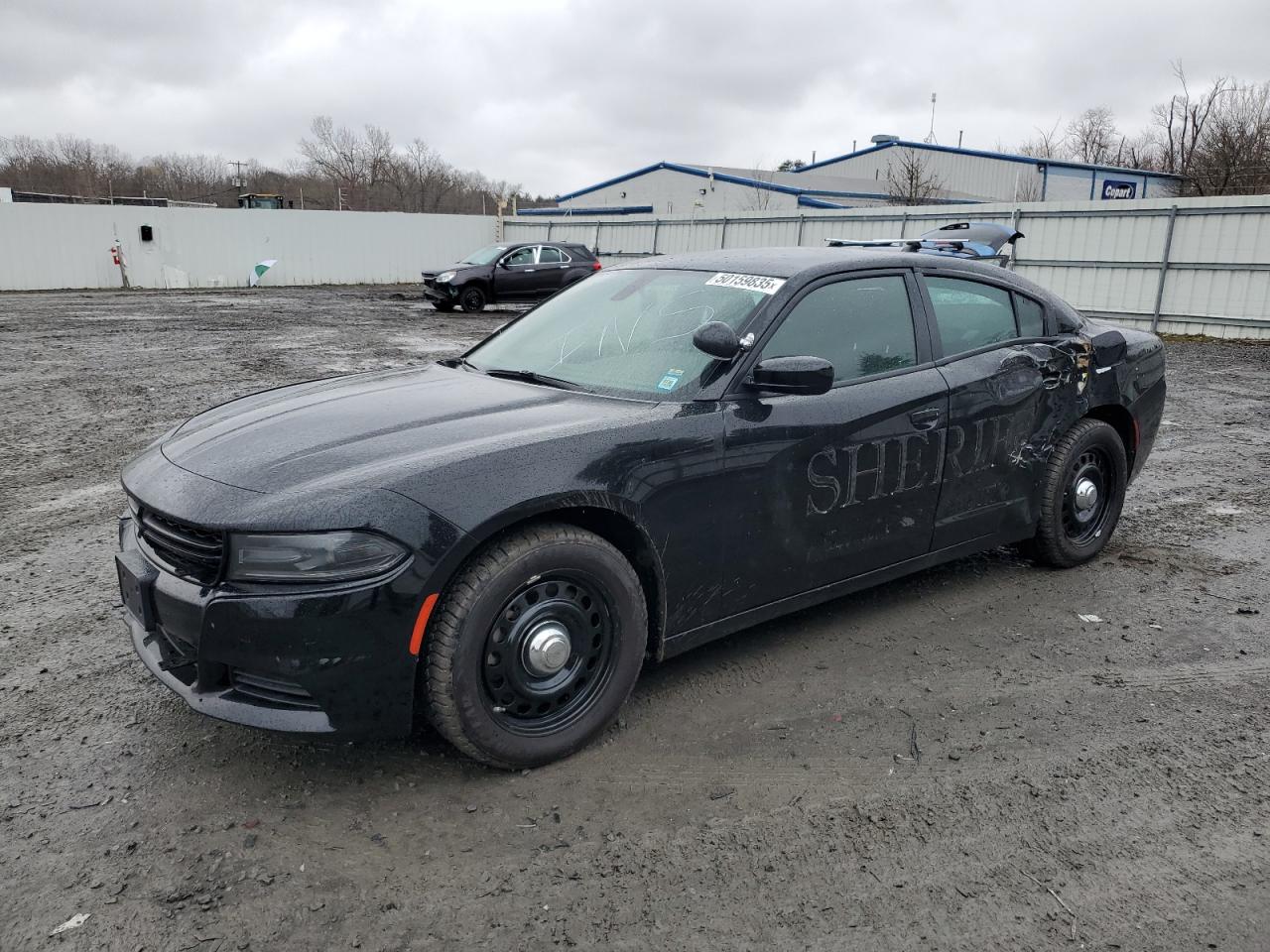 DODGE CHARGER PO 2021