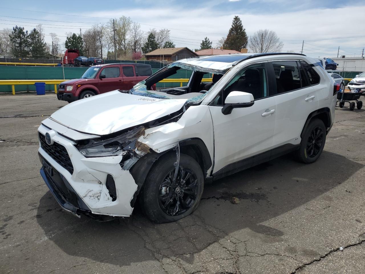 TOYOTA RAV4 SE 2024