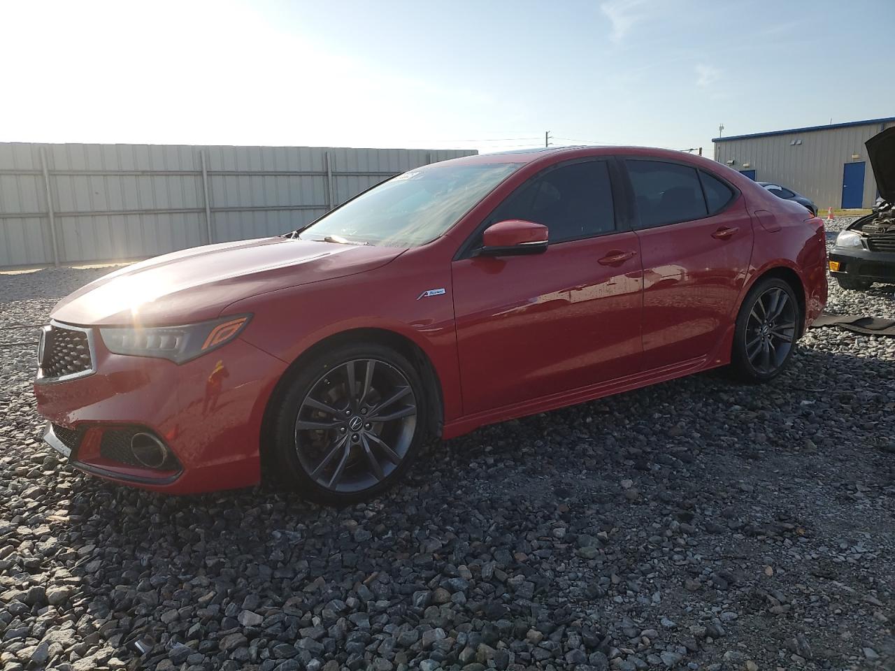 ACURA TLX TECHNO 2019