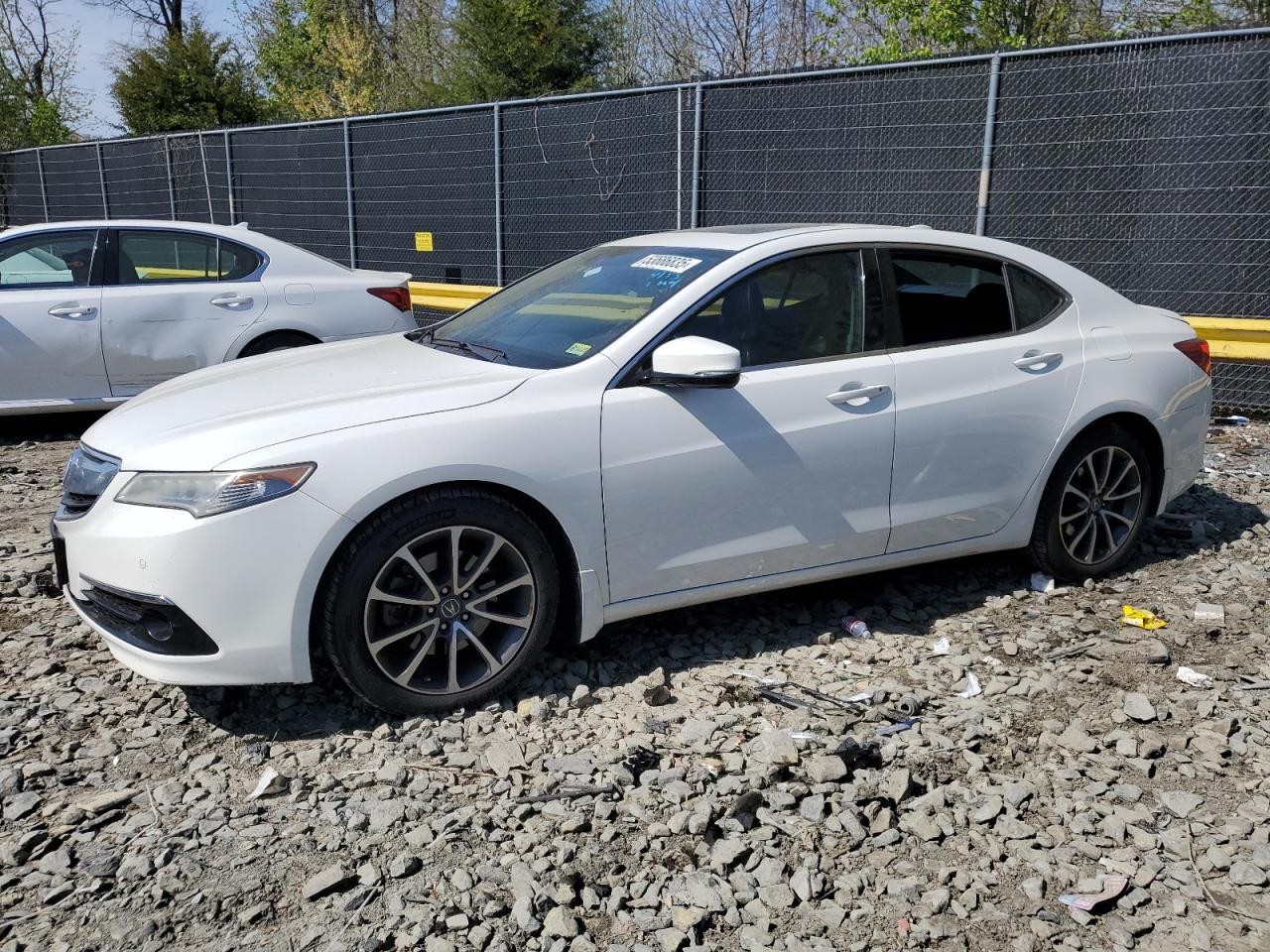 ACURA TLX ADVANC 2015