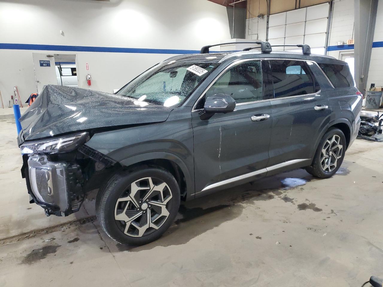 HYUNDAI PALISADE C 2022