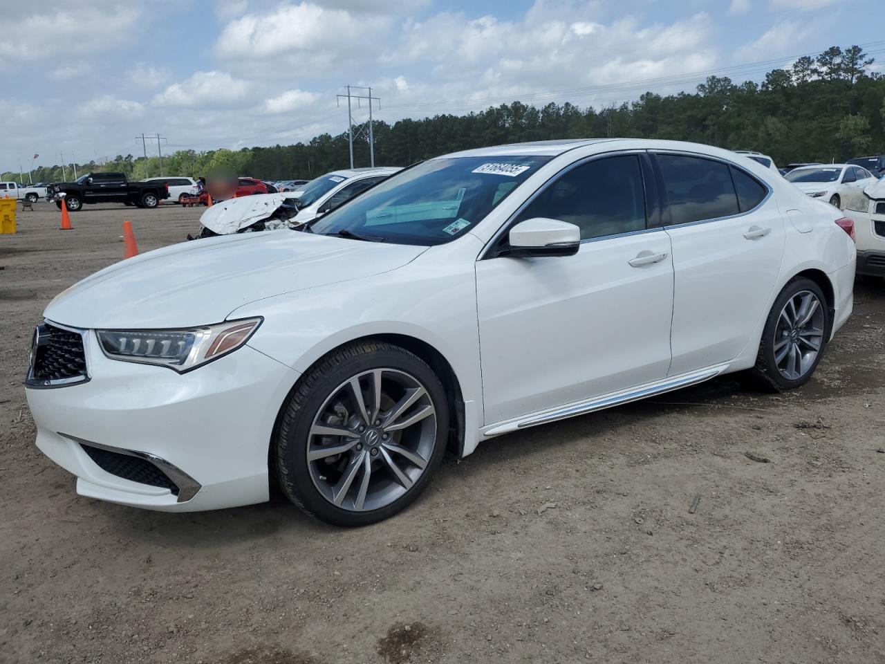 ACURA TLX TECHNO 2020