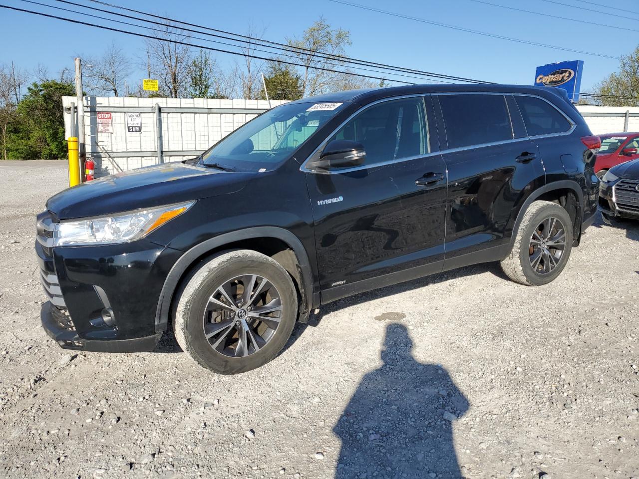 TOYOTA HIGHLANDER 2019