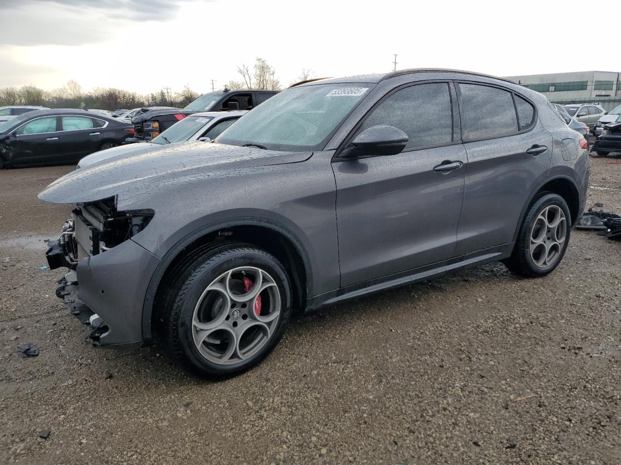 ALFA ROMEO STELVIO 2022