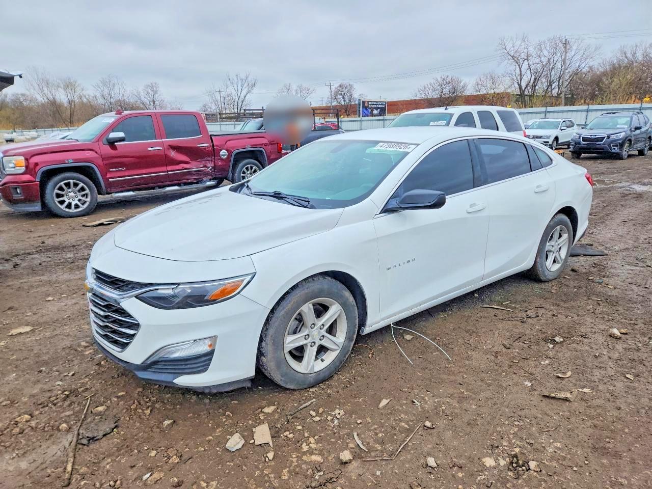 CHEVROLET MALIBU 2019