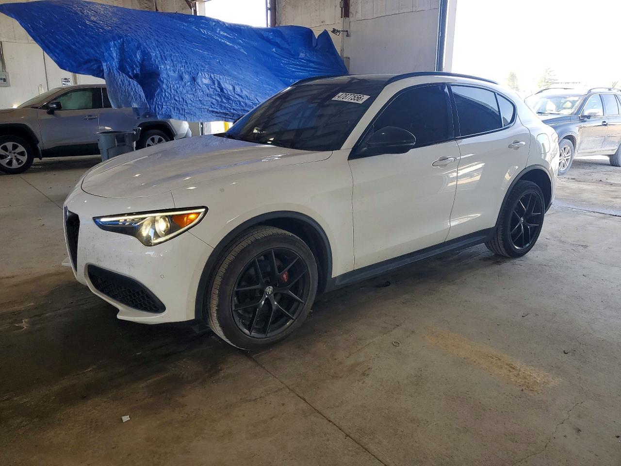 ALFA ROMEO STELVIO 2019