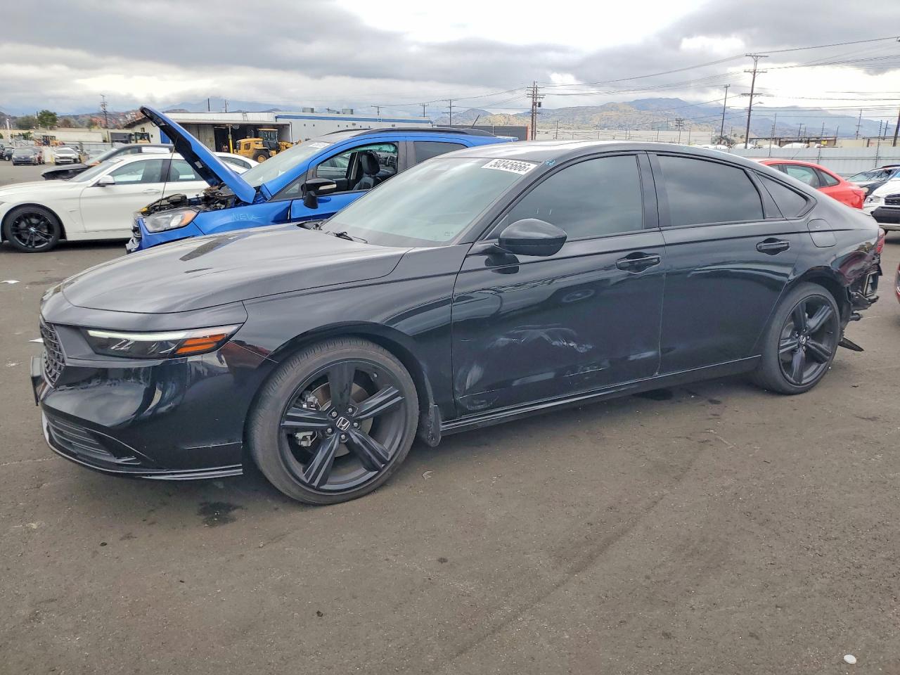 HONDA ACCORD 2024