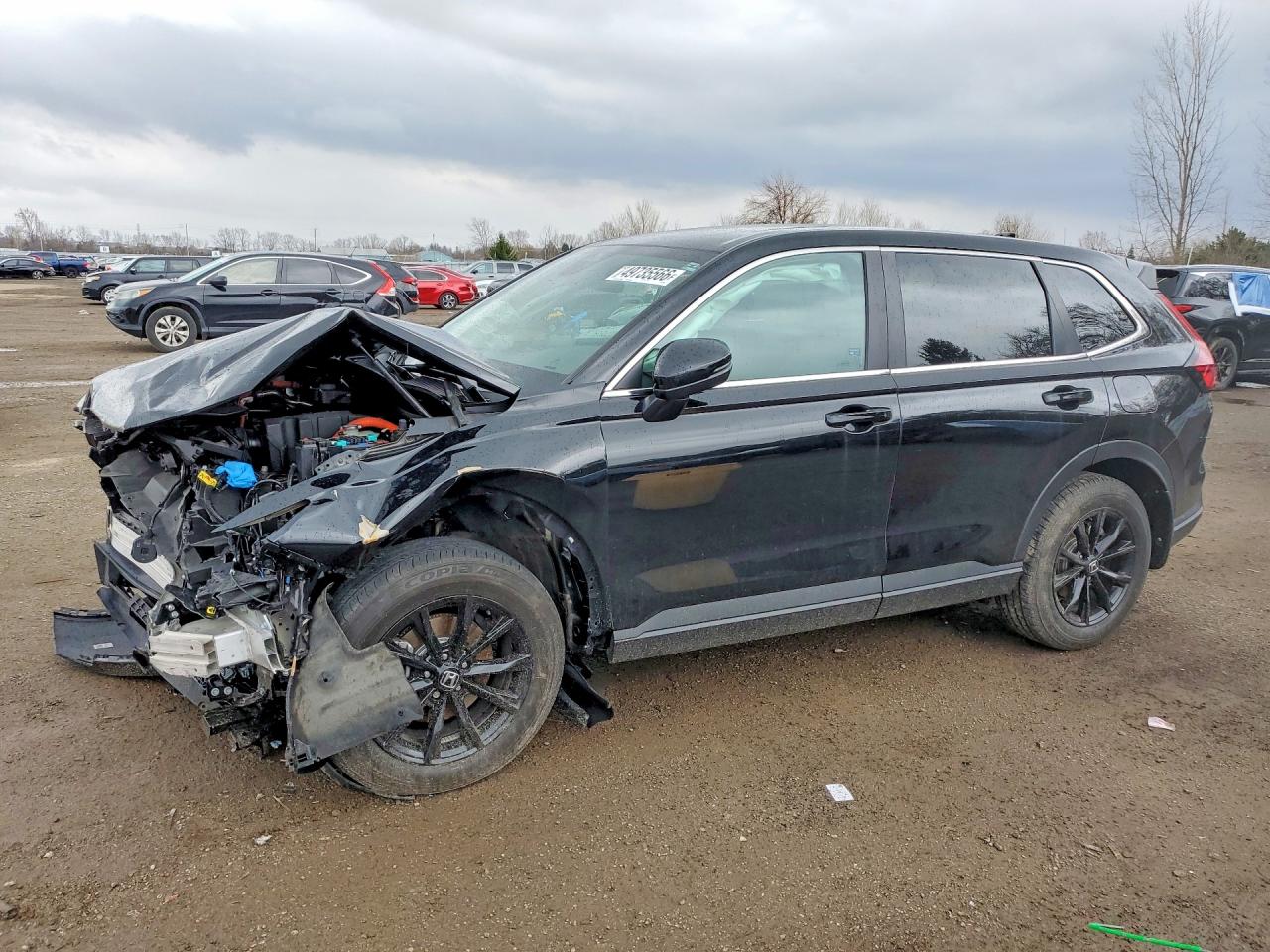 HONDA CR-V 2025