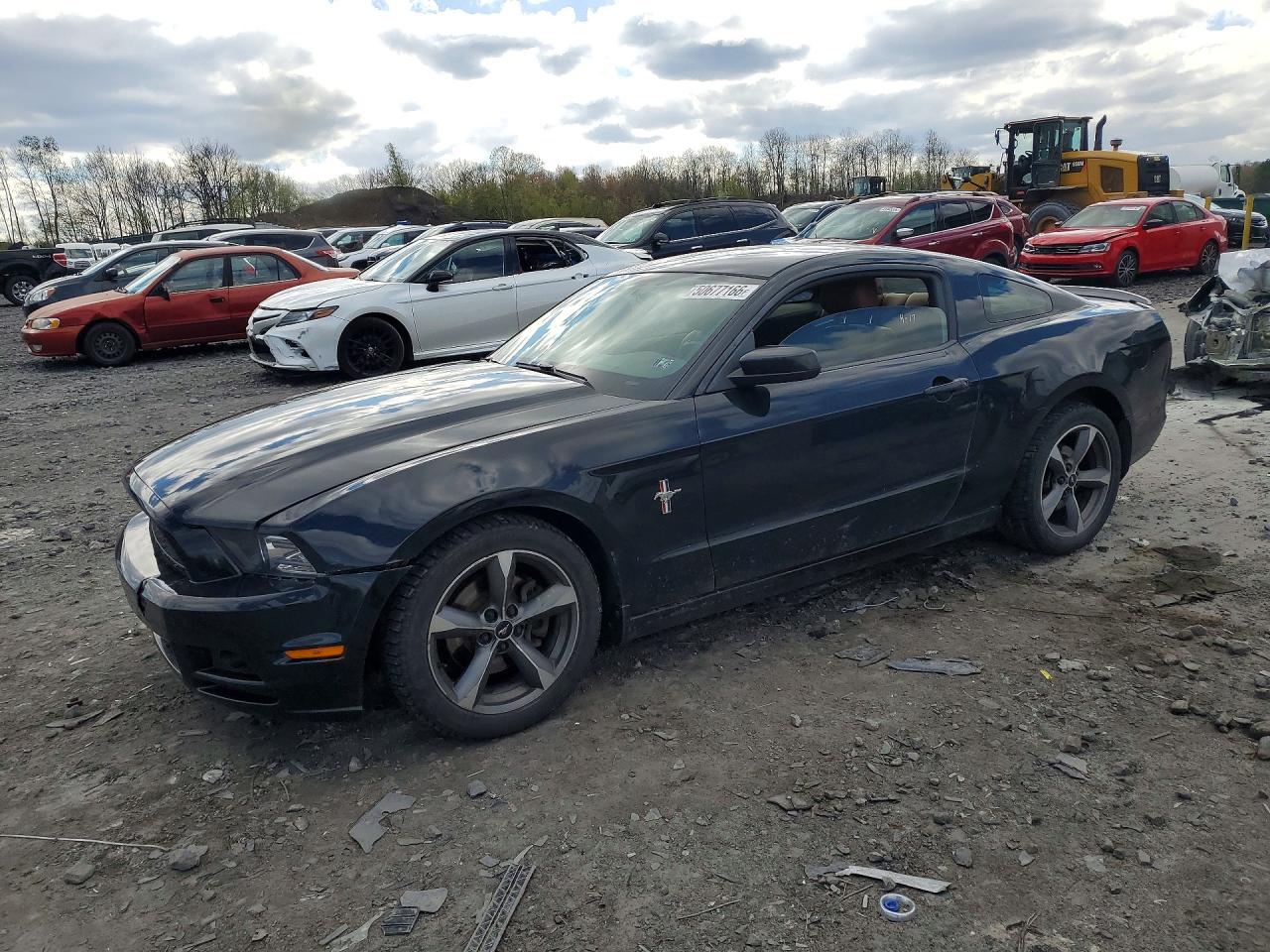 FORD MUSTANG 2014