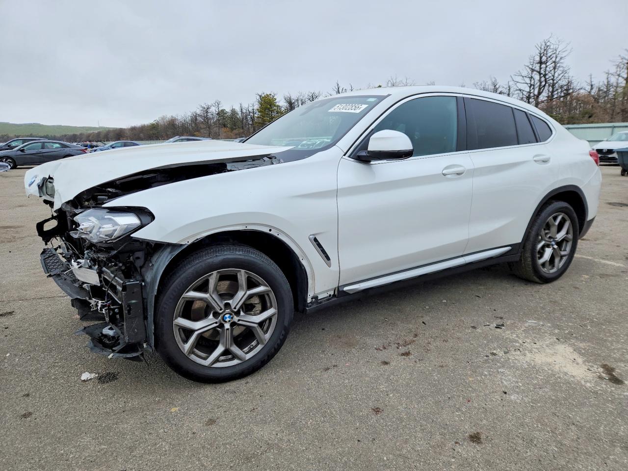 BMW X4 2024