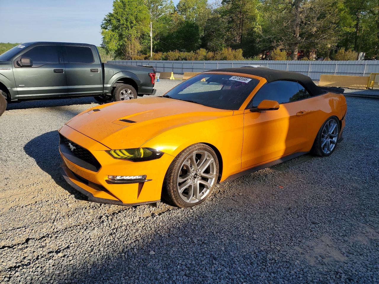 FORD MUSTANG 2019