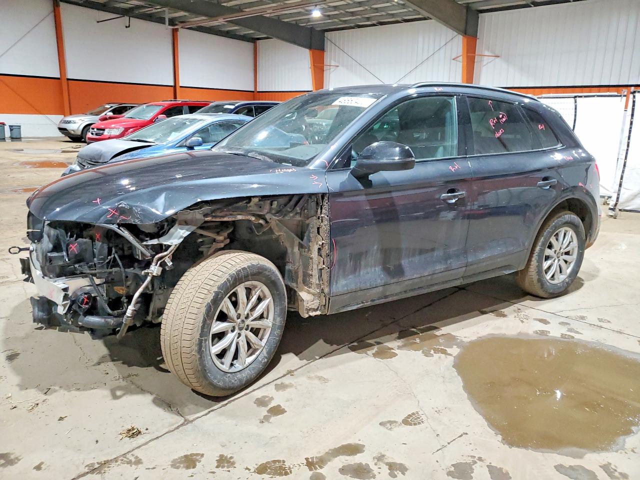 AUDI Q5 2023