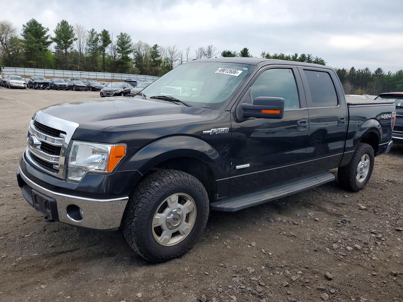 FORD F-150 2014