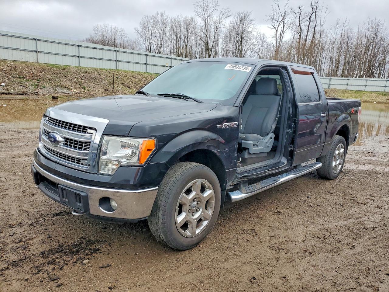 FORD F-150 2014