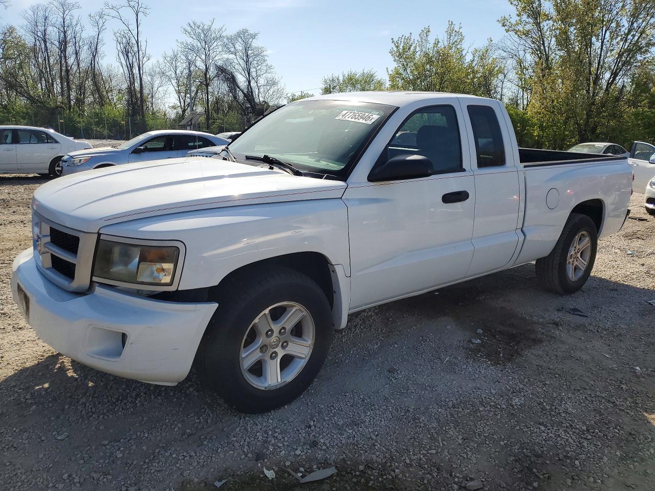 DODGE DAKOTA 2010