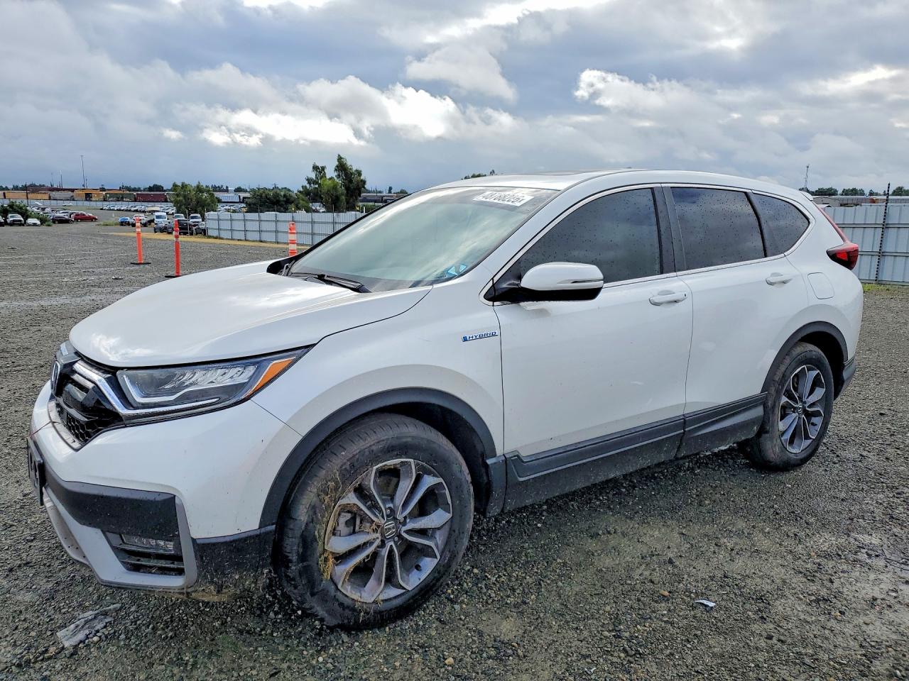 HONDA CR-V 2022