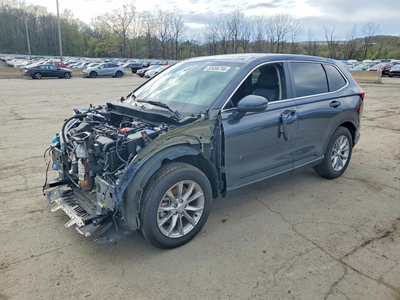 HONDA CR-V 2025