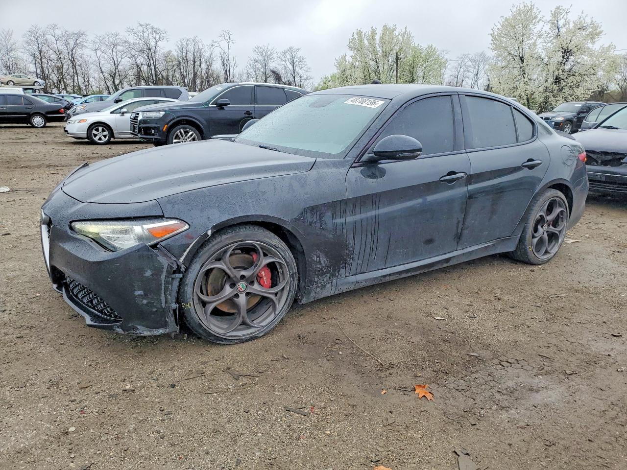 ALFA ROMEO GIULIA 2019