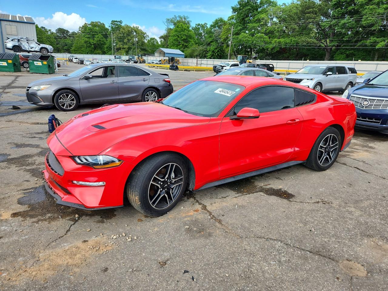 FORD MUSTANG 2019