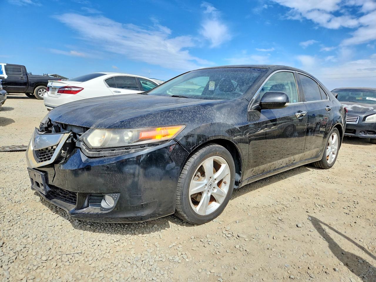 ACURA TSX 2010